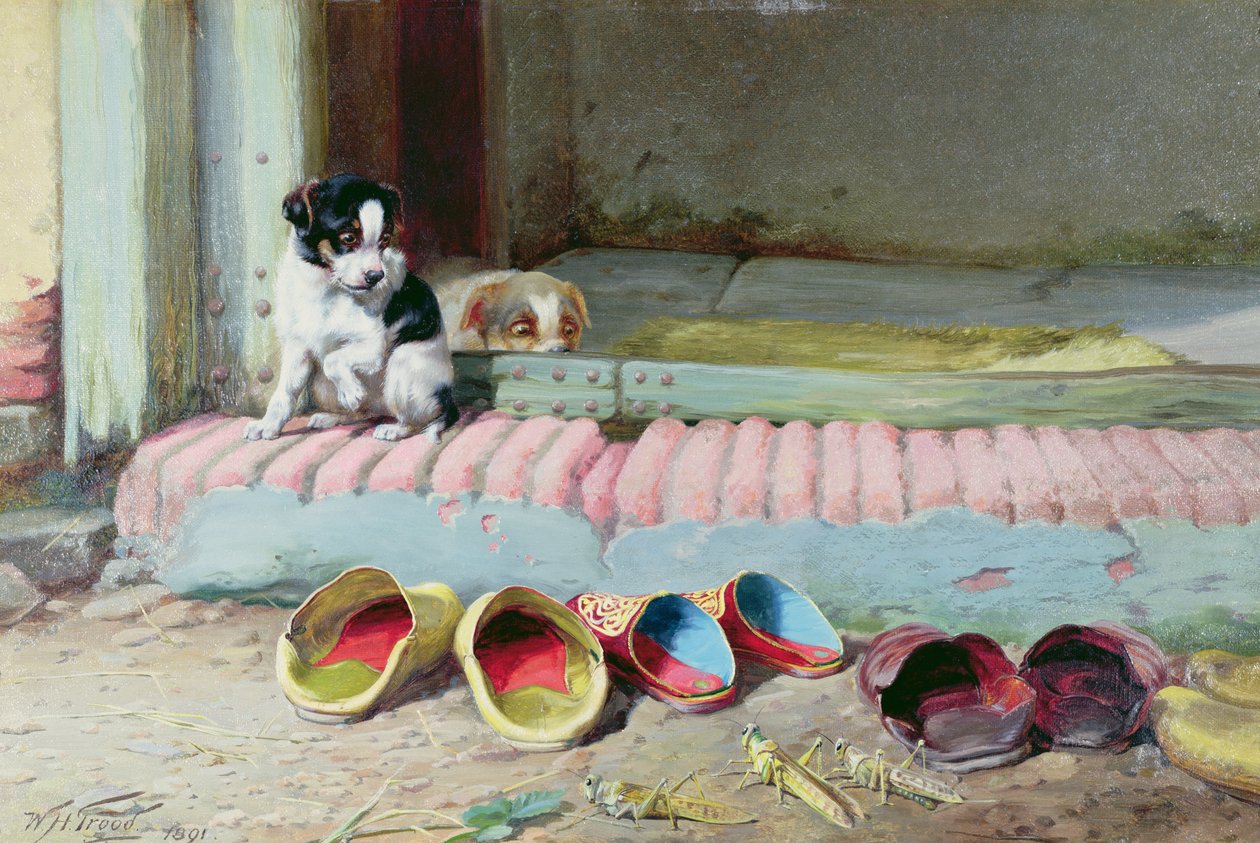 Ystävä tai vihollinen, 1891 tekijältä William Henry Hamilton Trood