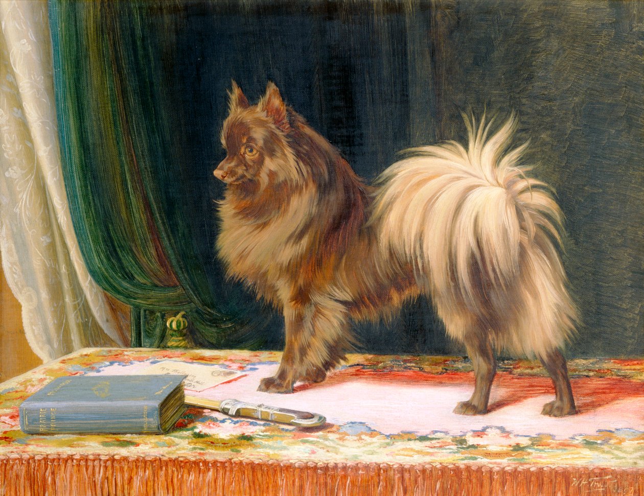 "Preeriaprinssin muotokuva", 1897 tekijältä William Henry Hamilton Trood