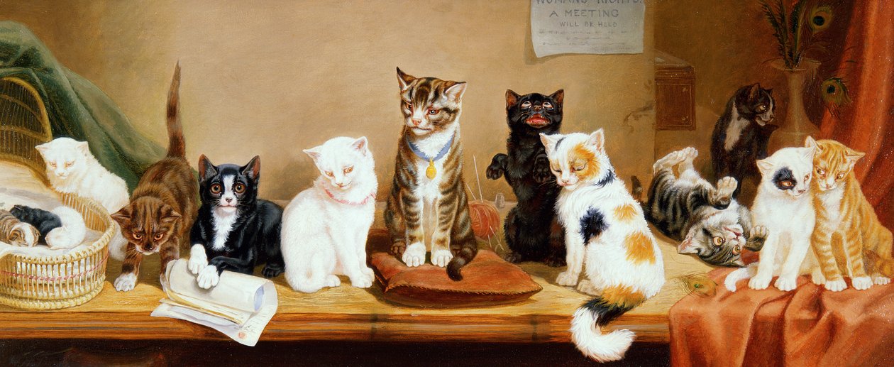 Naisten oikeudet - kokous, 1885 tekijältä William Henry Hamilton Trood