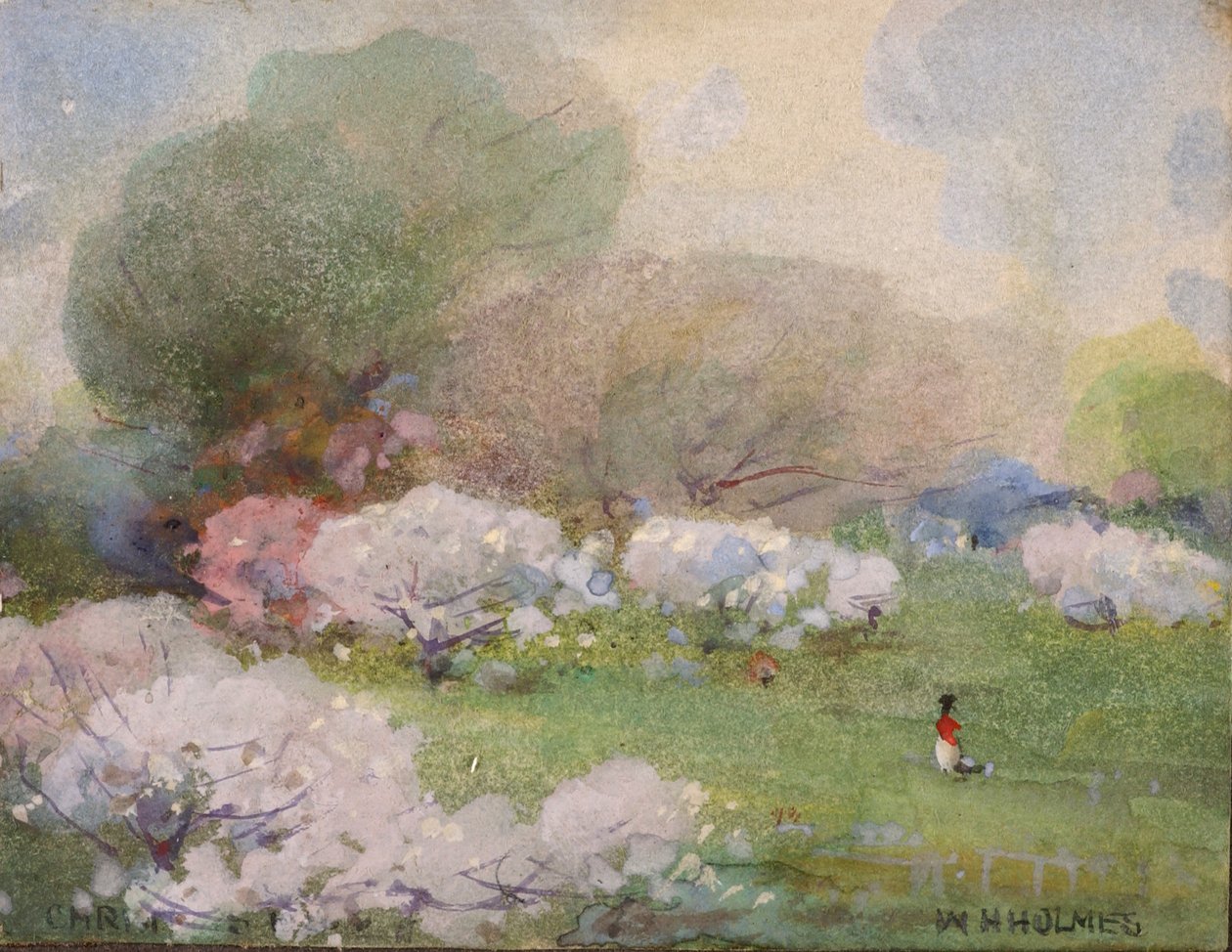 Cherry Blossoms, n.d. tekijältä William Henry Holmes