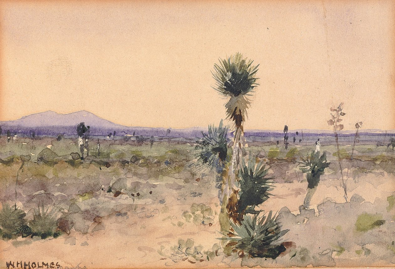 Yuccaland--Chihuahua, Meksiko tekijältä William Henry Holmes