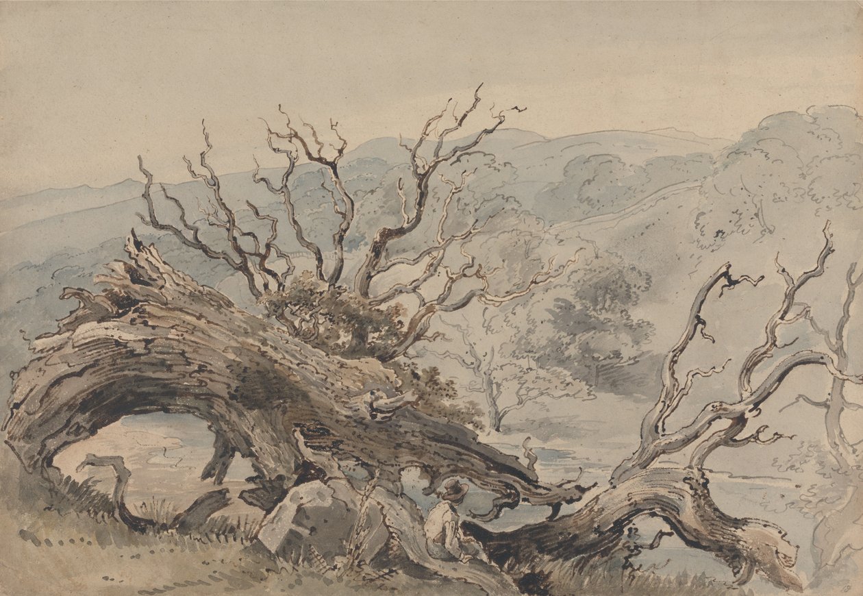 Kaatunut tammi tekijältä William Henry Hunt
