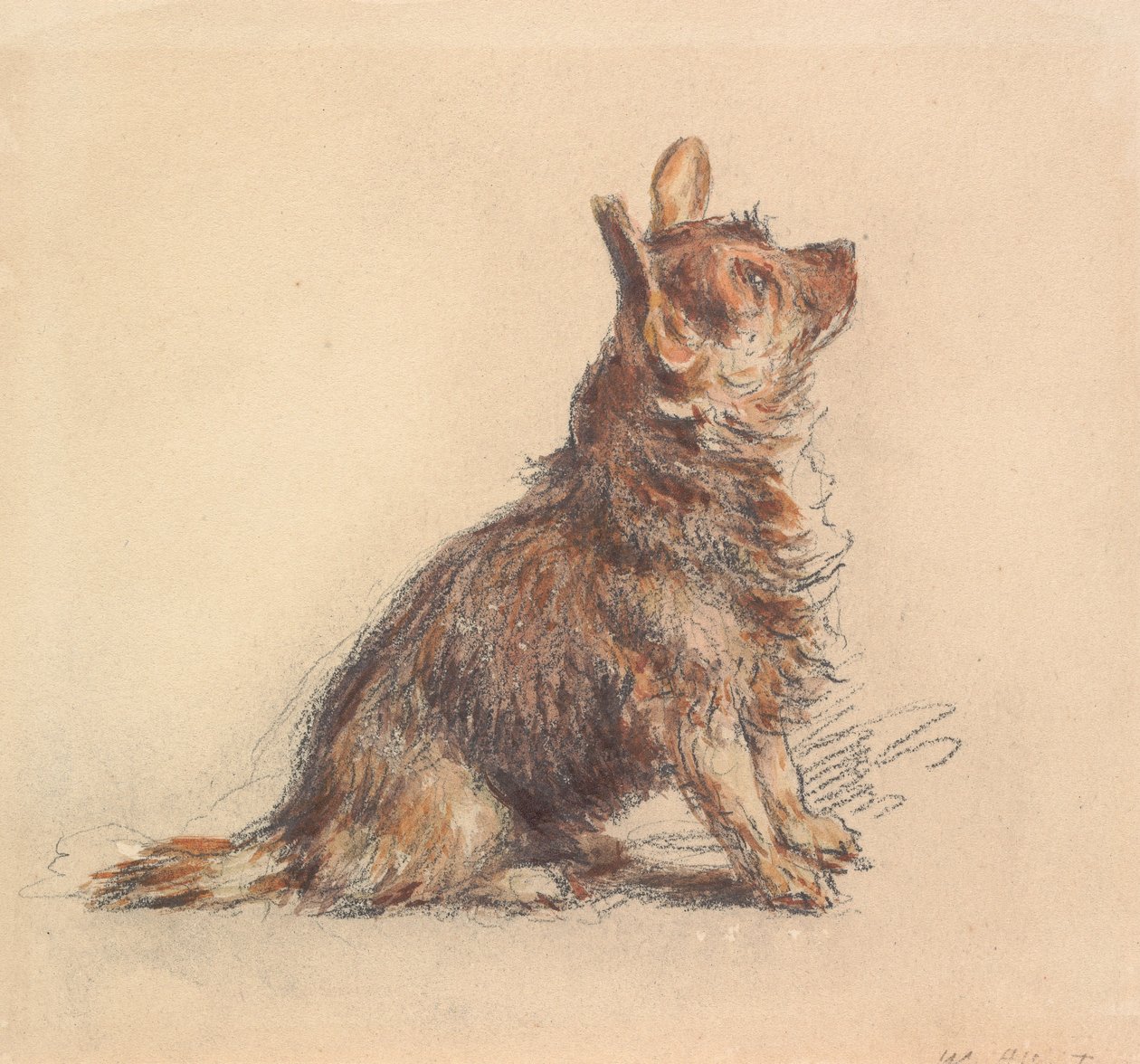 Istuva terrieri, joka katsoo ylös oikealle tekijältä William Henry Hunt