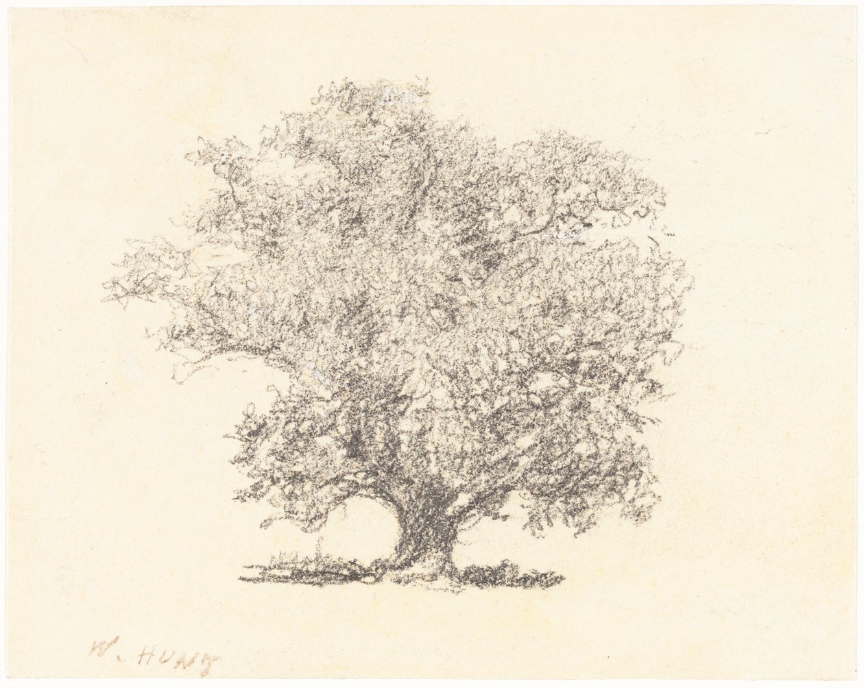 Täyslehtinen puu tekijältä William Henry Hunt