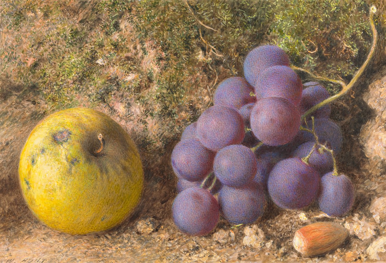 Omena, viinirypäleet ja tähkäpähkinä tekijältä William Henry Hunt
