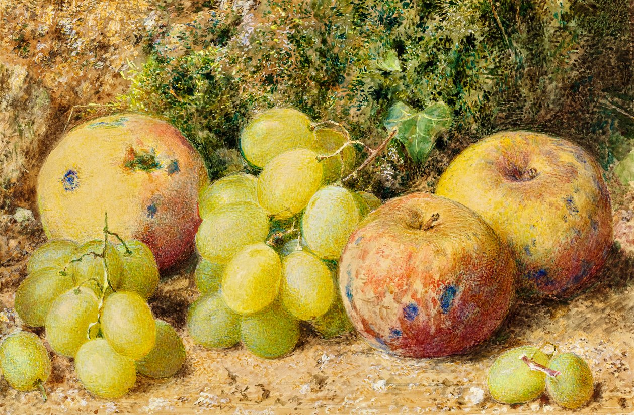 Omenat ja valkoiset viinirypäleet, n.1860 (wc kortilla) tekijältä William Henry Hunt