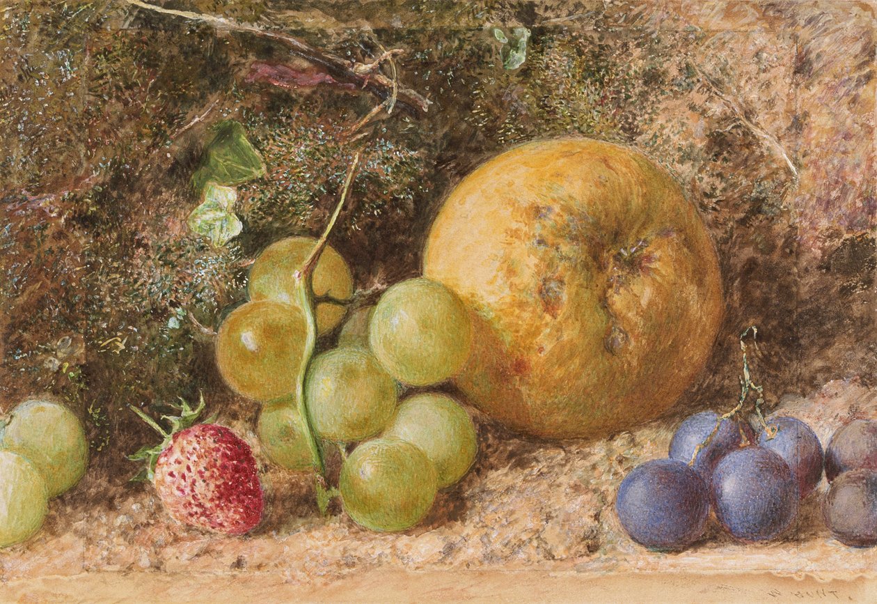 "Hedelmäpala", c1855 tekijältä William Henry Hunt