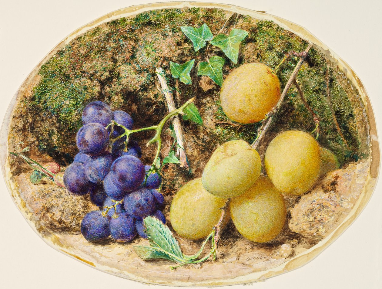 Kultapisaraluumuja ja mustia viinirypäleitä, noin 1860 tekijältä William Henry Hunt
