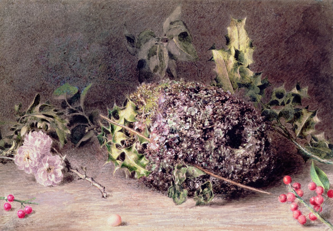 Pitkähäntäisten tissien pesä tekijältä William Henry Hunt
