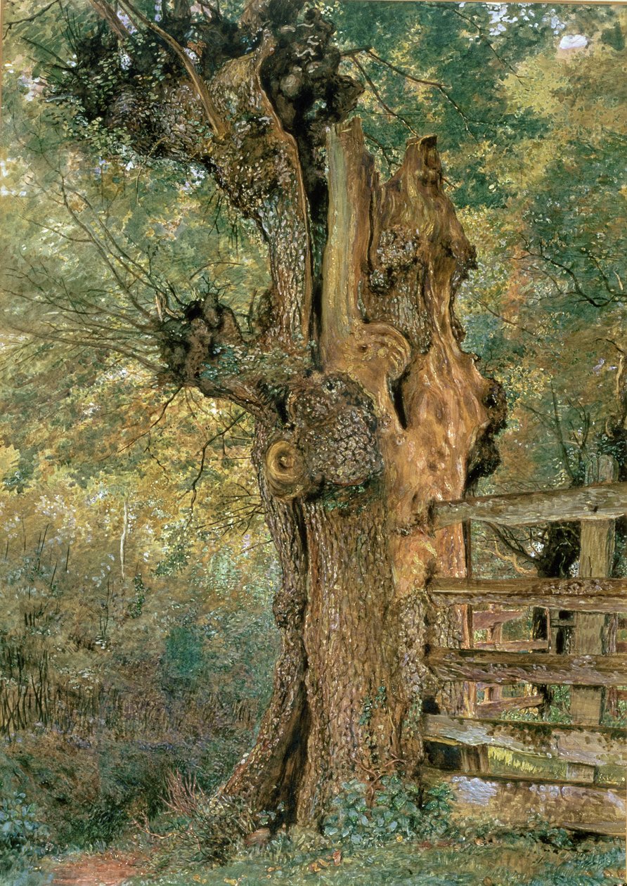 Pollardijalava kylän punnan reunalla tekijältä William Henry Hunt
