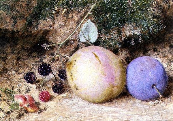 Ruusunmarjat, karhunvatukat ja luumut tekijältä William Henry Hunt