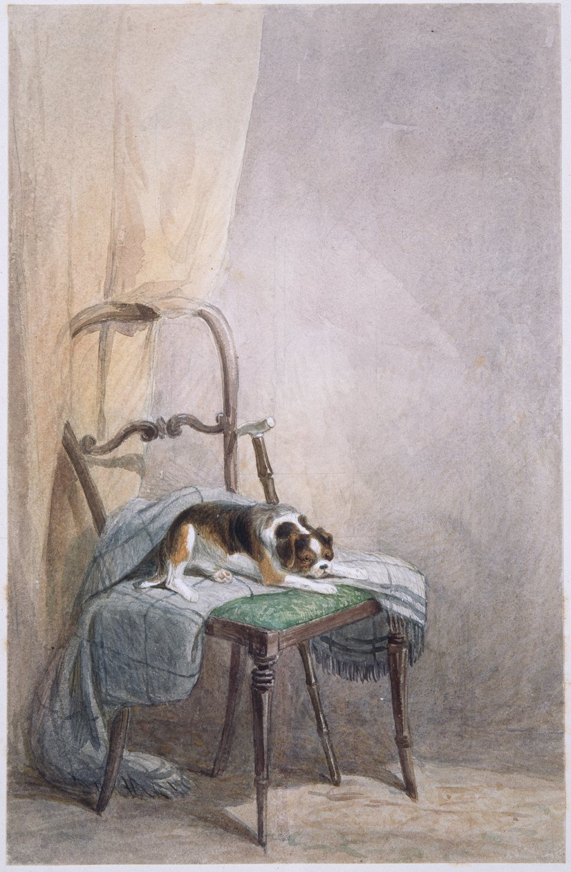 Koiran tutkimus tuolilla (akvarelli paperille) tekijältä William Henry Hunt