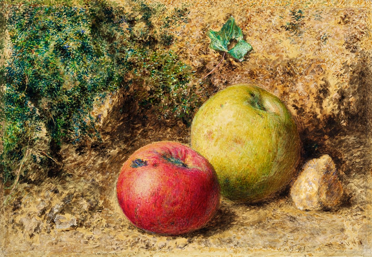 Kontrasti - punaiset ja vihreät omenat, n. 1860 tekijältä William Henry Hunt