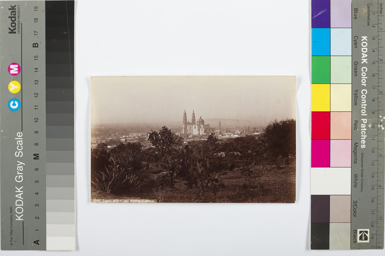 Lagos, yleisnäkymä katedraalista, 1883-1884 (albumiprintti) tekijältä William Henry Jackson
