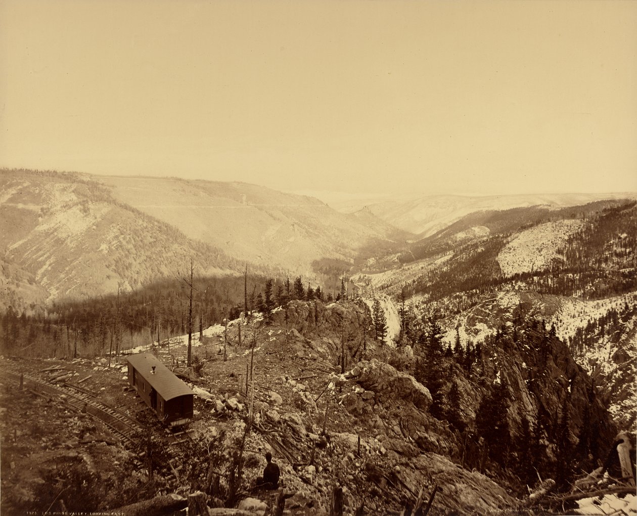 Los Pinosin laakso, itään päin tekijältä William Henry Jackson