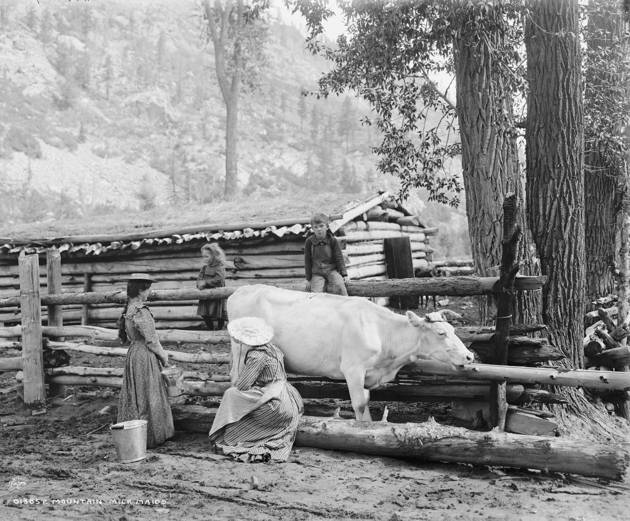 Vuoristomaitotytöt Coloradossa, n. 1900 (m/w kuva) tekijältä William Henry Jackson