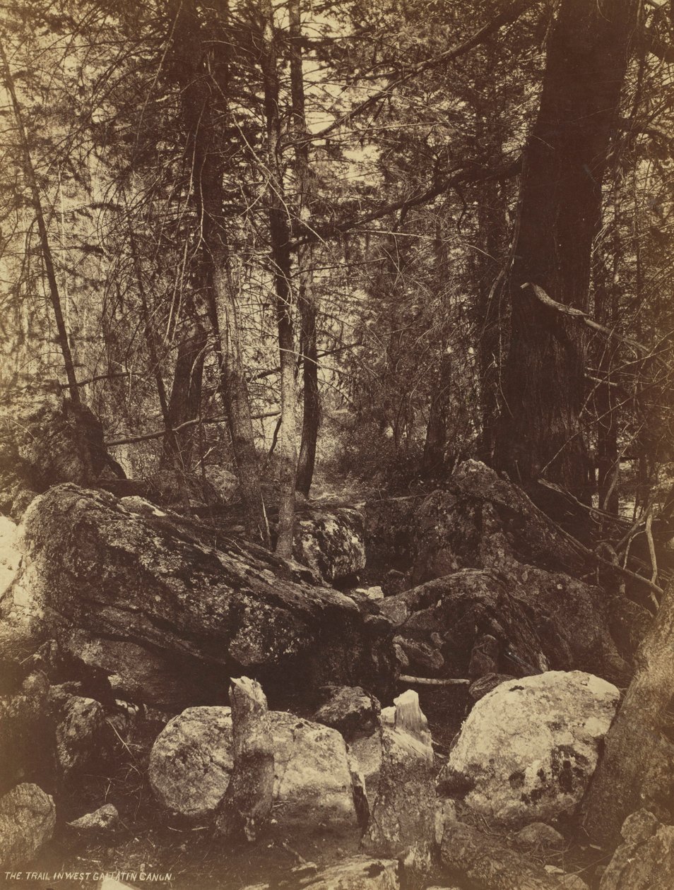 Polku West Gallatin Cañonissa, n. 1870-luku. tekijältä William Henry Jackson