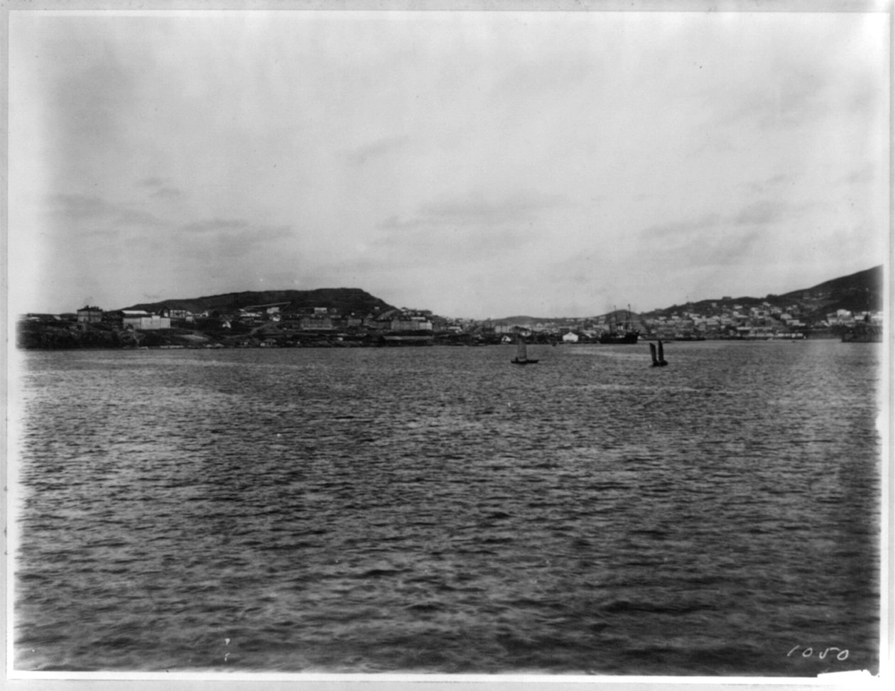 Vladivostok - panoraamanäkymä satamasta tekijältä William Henry Jackson
