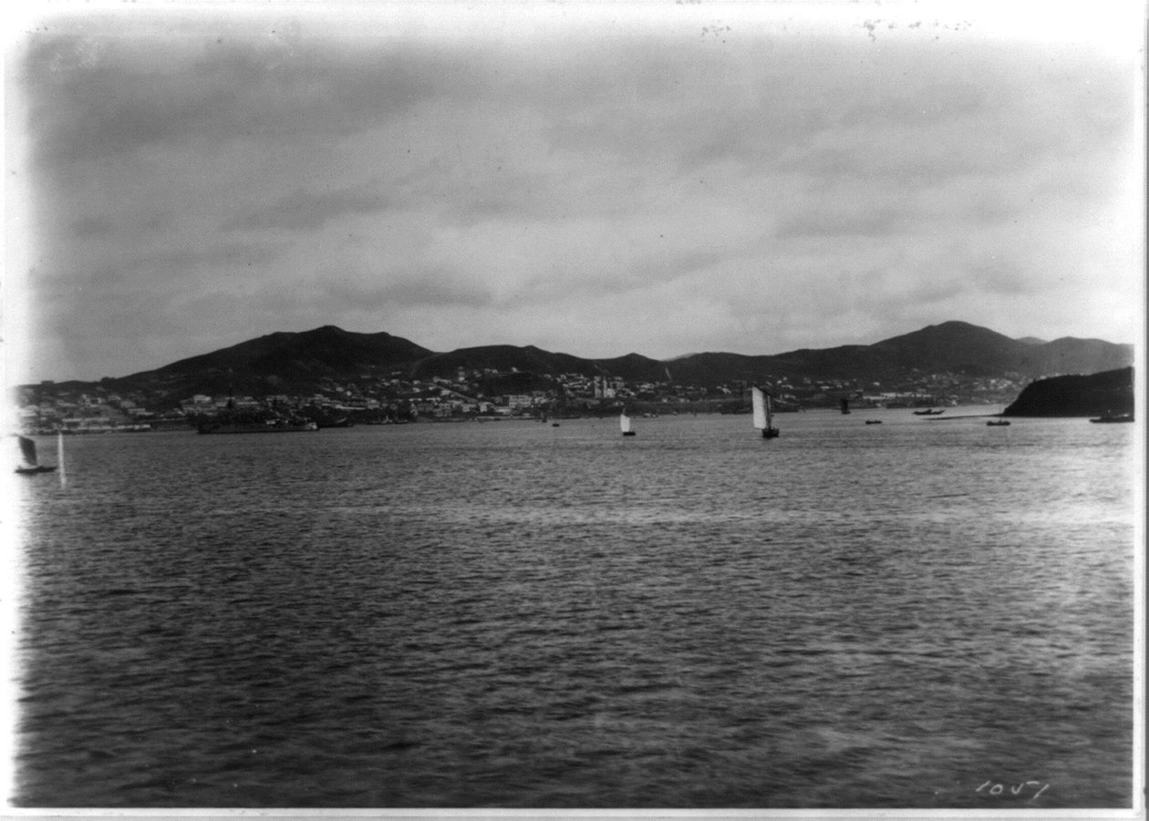 Vladivostok - panoraamanäkymä satamasta tekijältä William Henry Jackson