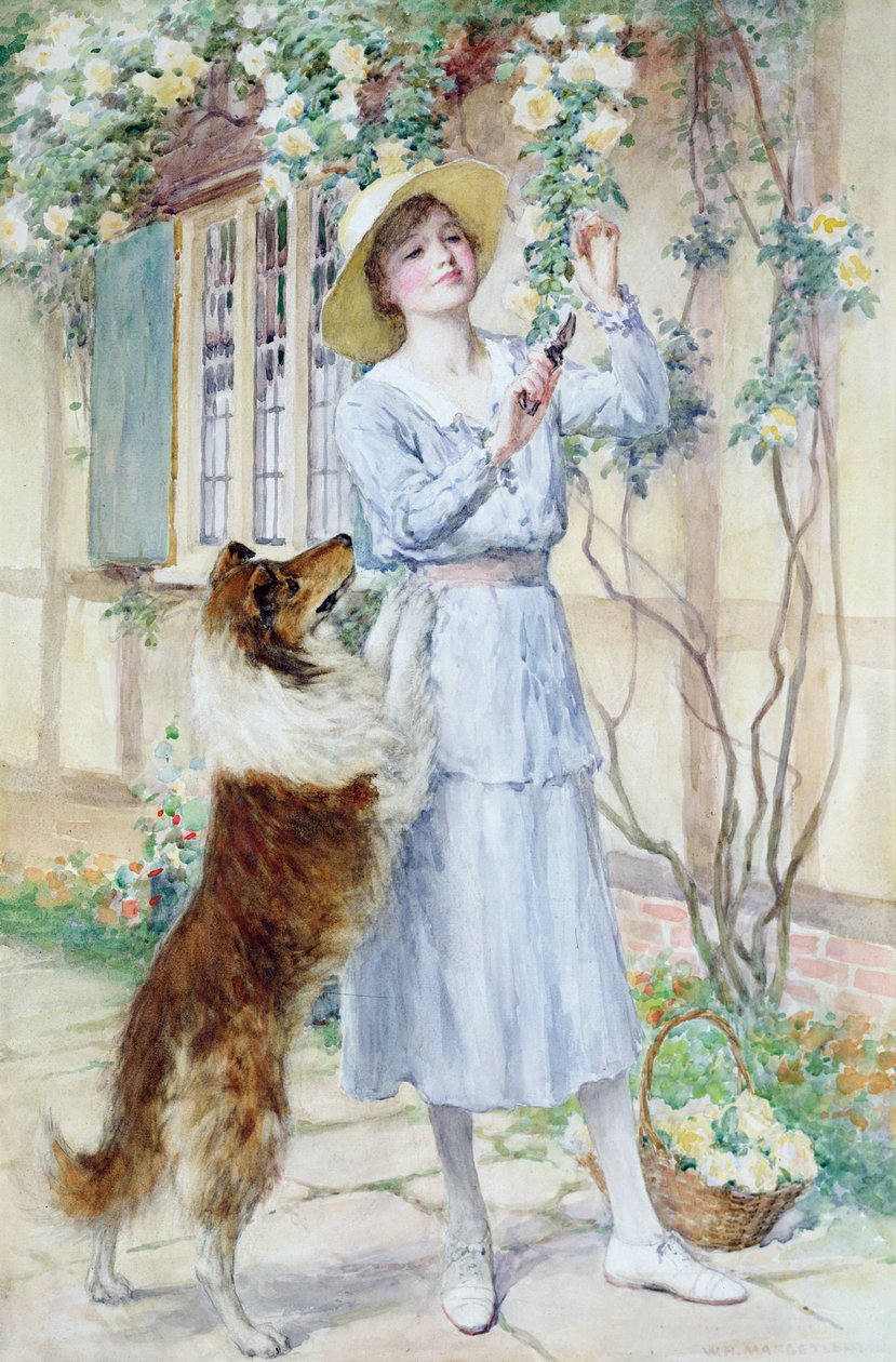 Ruusujen poimiminen (vesiväri paperille) tekijältä William Henry Margetson