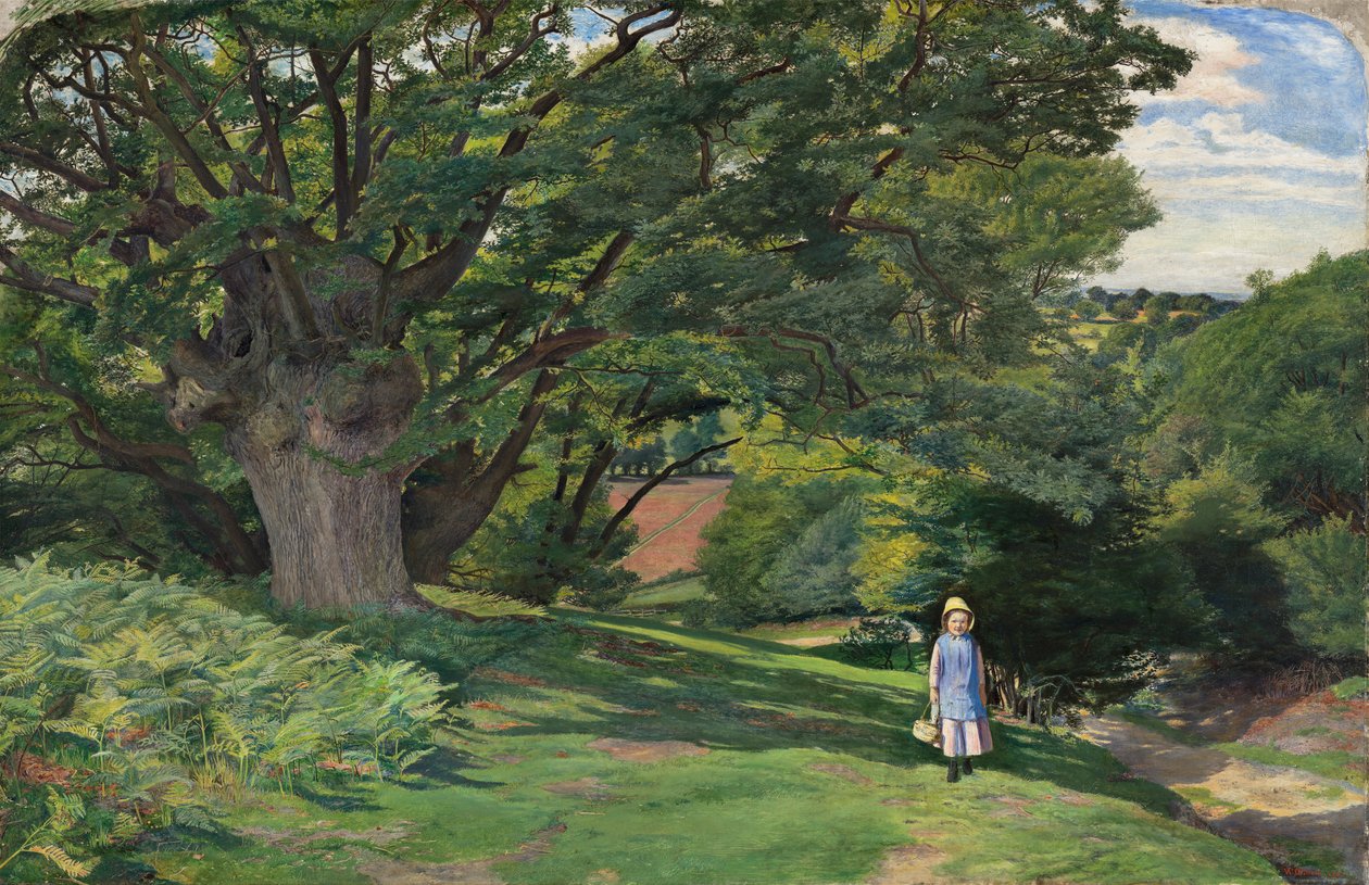 Hayes yleinen tekijältä William Henry Millais