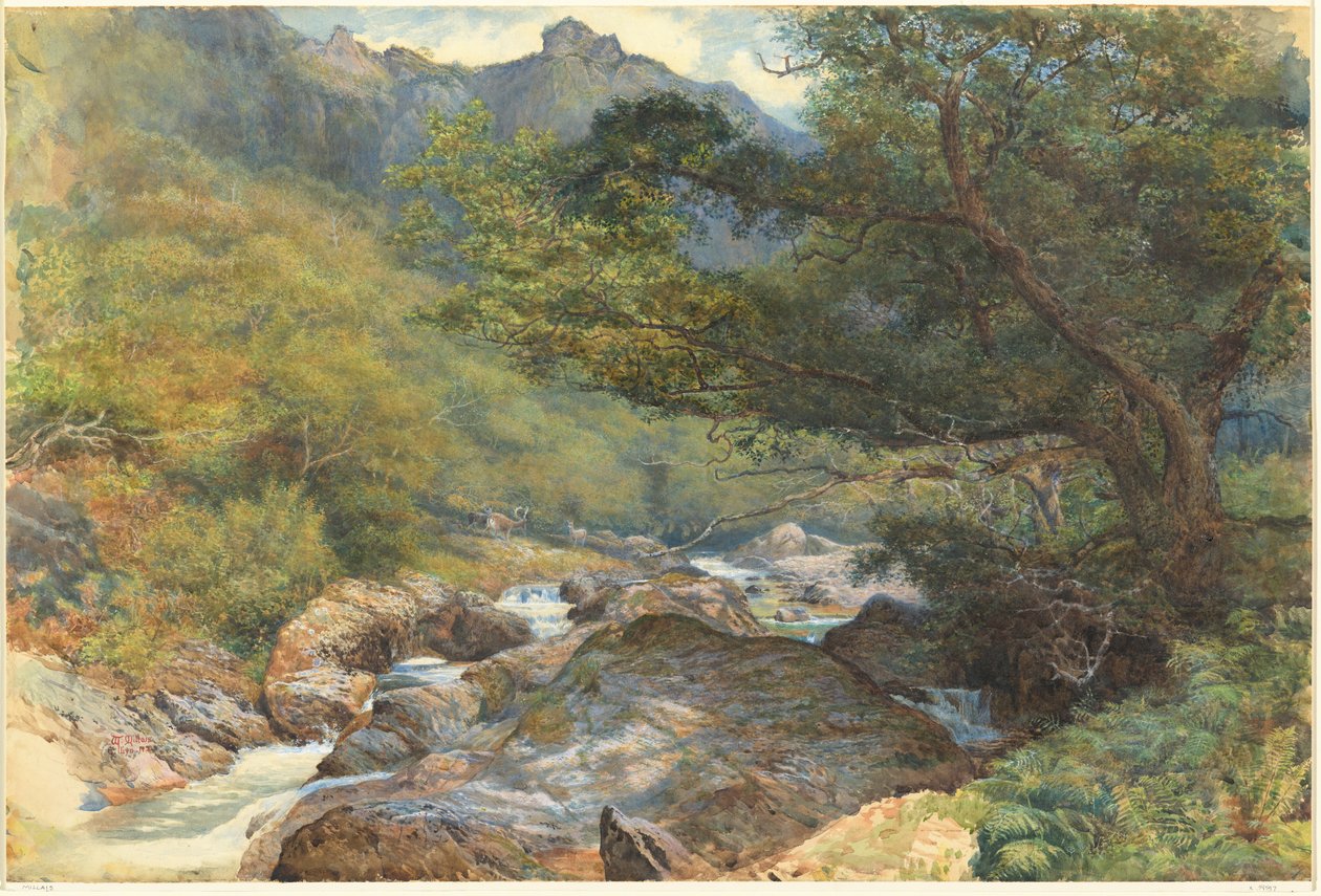 East Lynissä, Pohjois-Devonissa tekijältä William Henry Millais