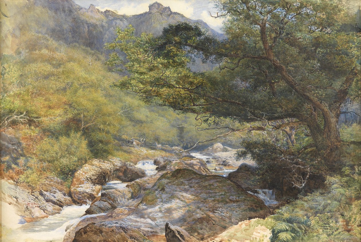 Lynissä, North Devonissa (wc korotettu vartalonvärillä ja arabikumilla) tekijältä William Henry Millais