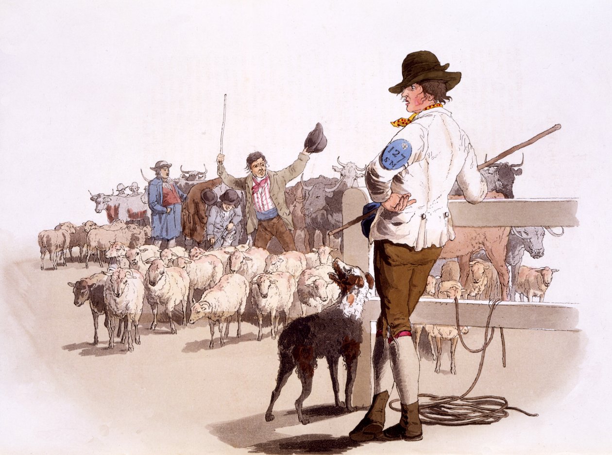 Lammas- ja karjapaimenet, The Costumes of Great Britain, pub. Henry Miller, 1805 (käsinvärinen printti) tekijältä William Henry Pyne