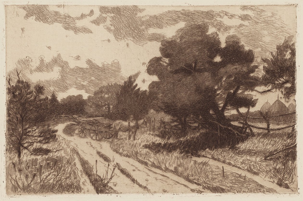 Long Island Road tekijältä William Henry Shelton