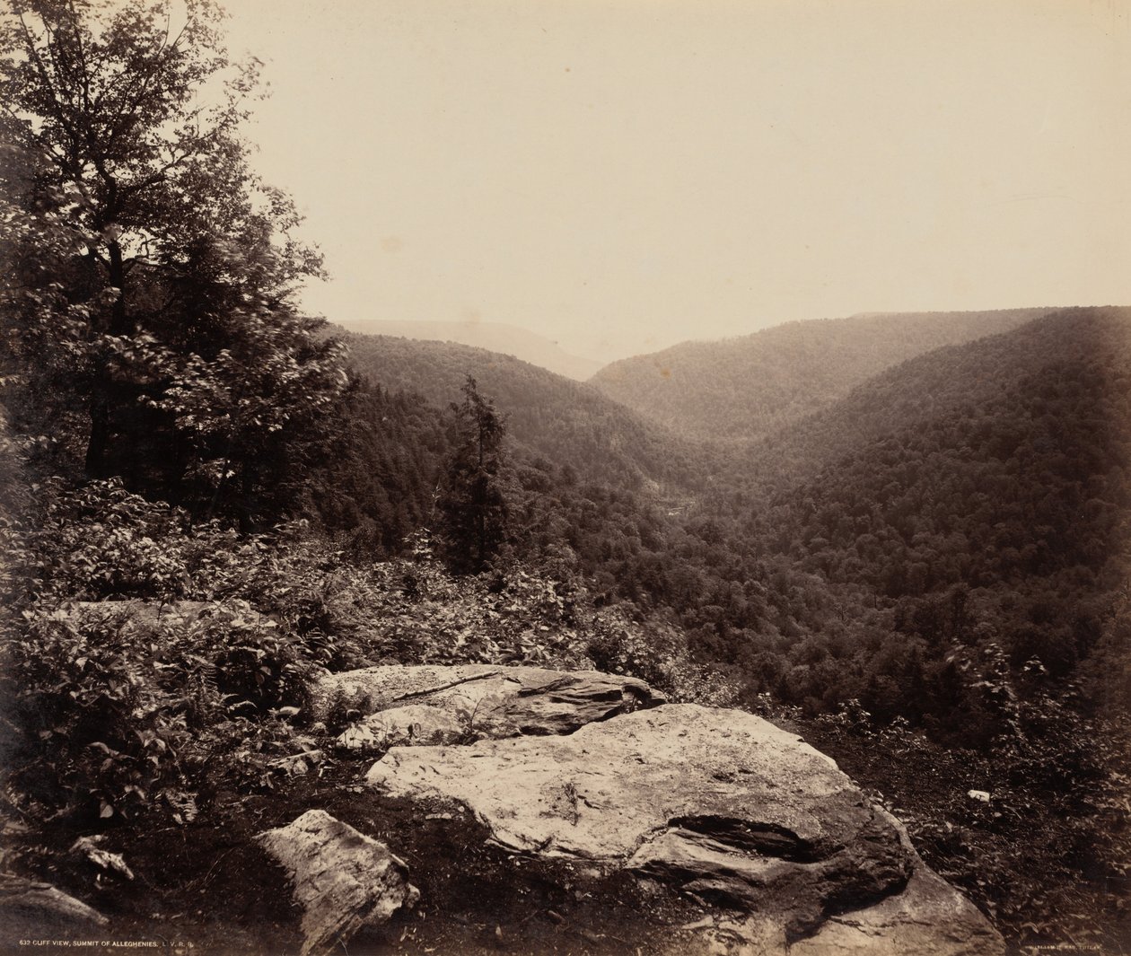 Kallionäkymä, Alleghenien huippu,c. 1895 (kuva) tekijältä William Herman Rau