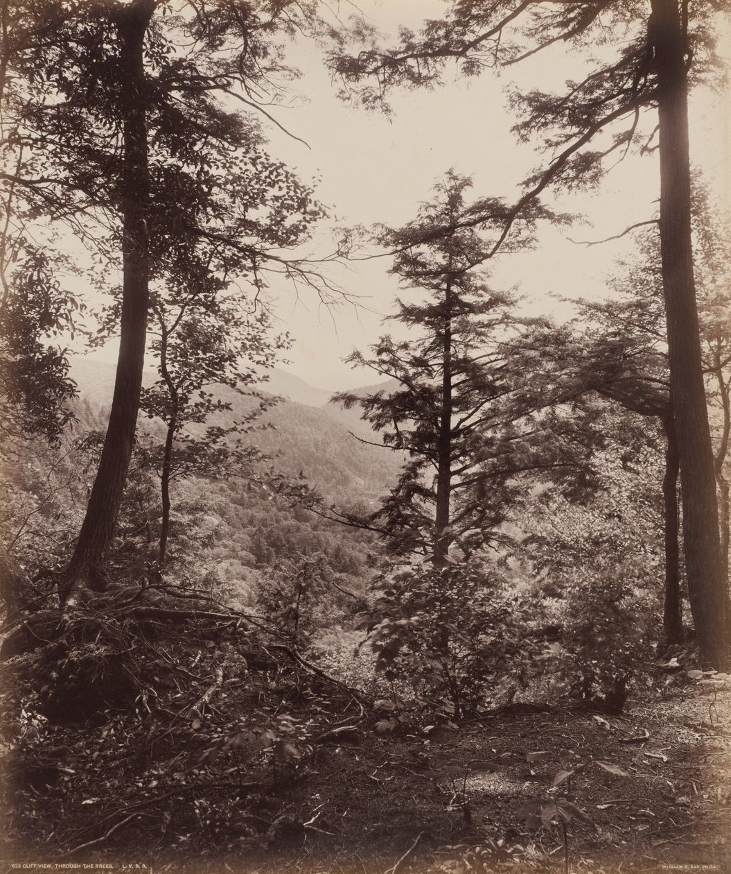 Kallionäkymä, puiden läpi,c. 1895 (kuva) tekijältä William Herman Rau