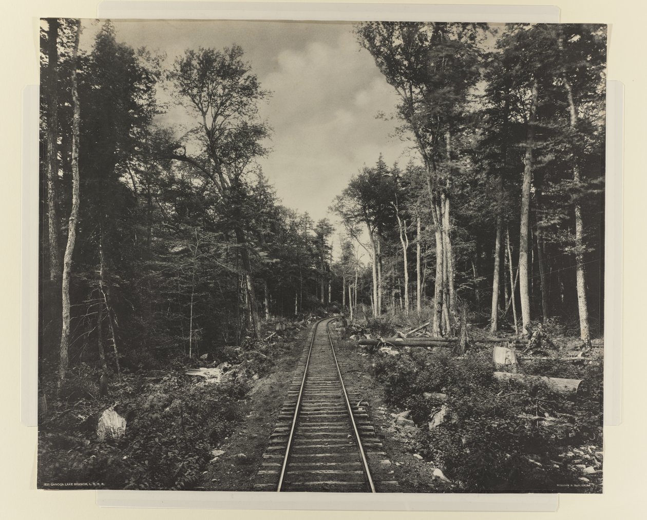 Ganoga Lake Branch, L.V.R.R., n. 1899 (platinaprintti) tekijältä William Herman Rau