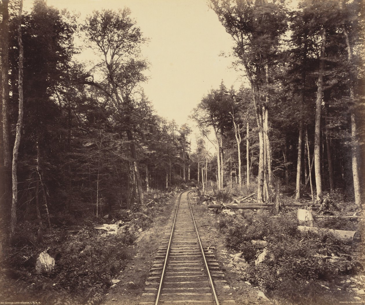 Ganoga Lake Branch, noin 1895 (kuva). tekijältä William Herman Rau