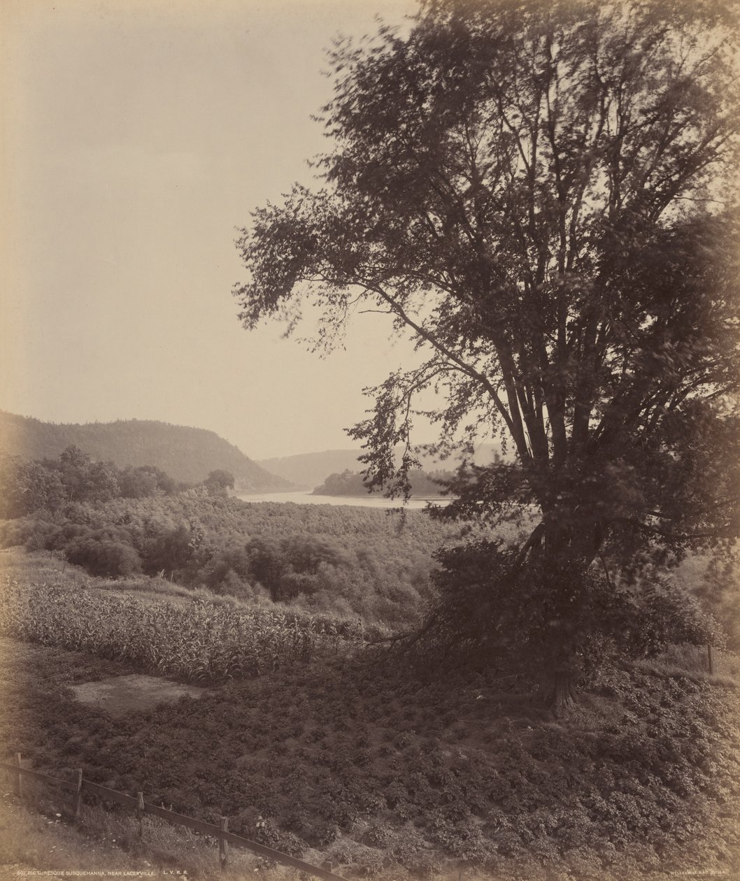 Maalauksellinen Susquehanna, lähellä Laceyvilleä, noin 1895 (kuva). tekijältä William Herman Rau