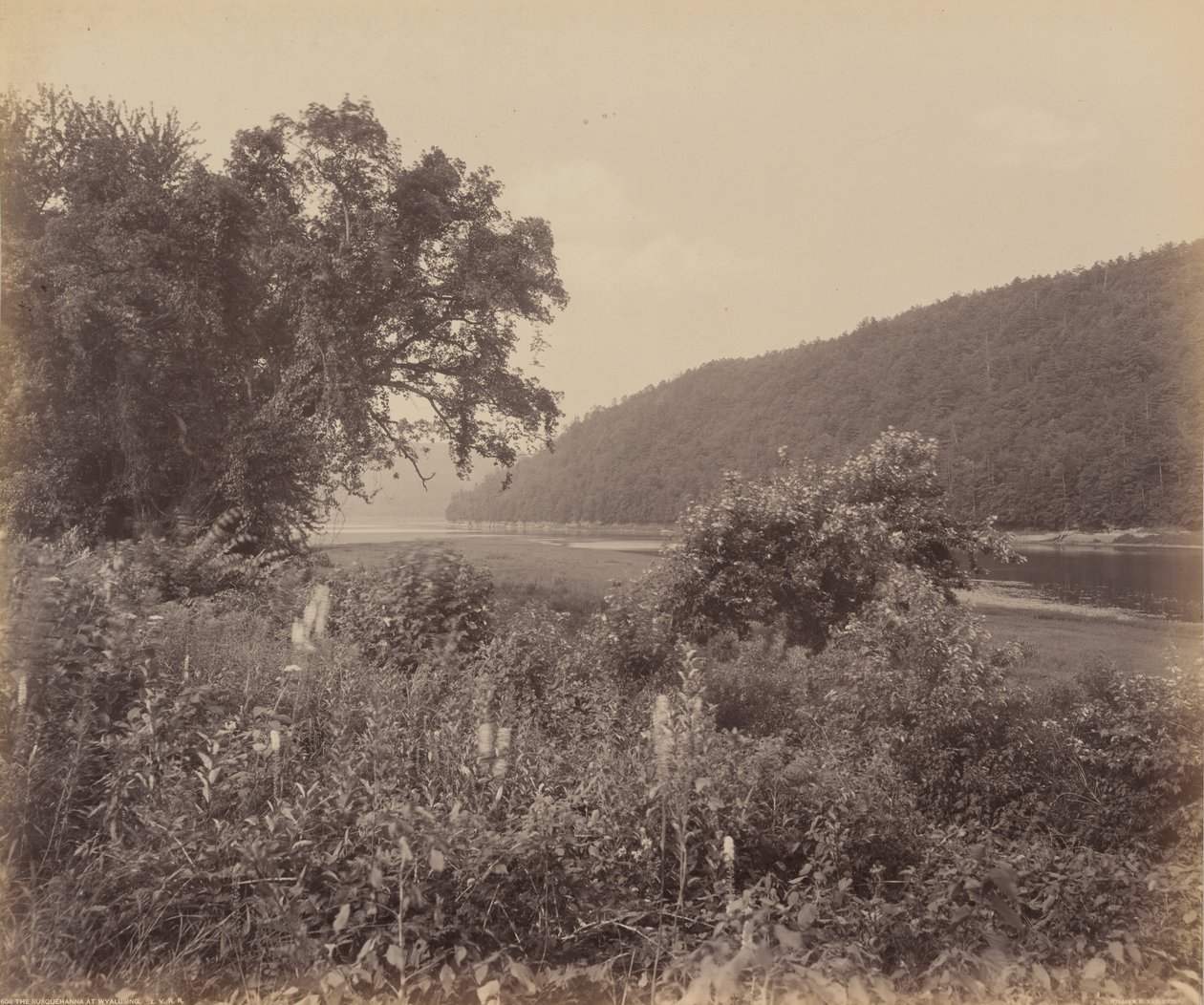 Susquehanna Wyalusingissa,c. 1895 (kuva) tekijältä William Herman Rau