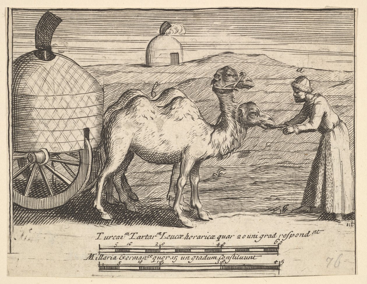 Kaksi dromedaaria Aubry de La Mottrayes matkustaa ympäri Eurooppaa, Aasiaa ja osaan ..., 1723-24. tekijältä William Hogarth
