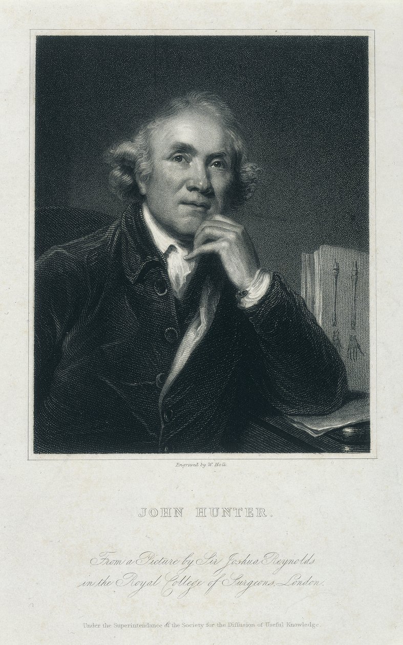John Hunter, FRS, c1850-c1870 tekijältä William Holl