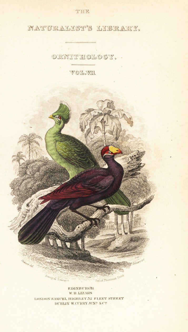 Nimisivu, jossa vinjetti Guinea turaco, Tauraco persa buffoni ja violetti turaco, Musophaga violacea tekijältä William Home Lizars
