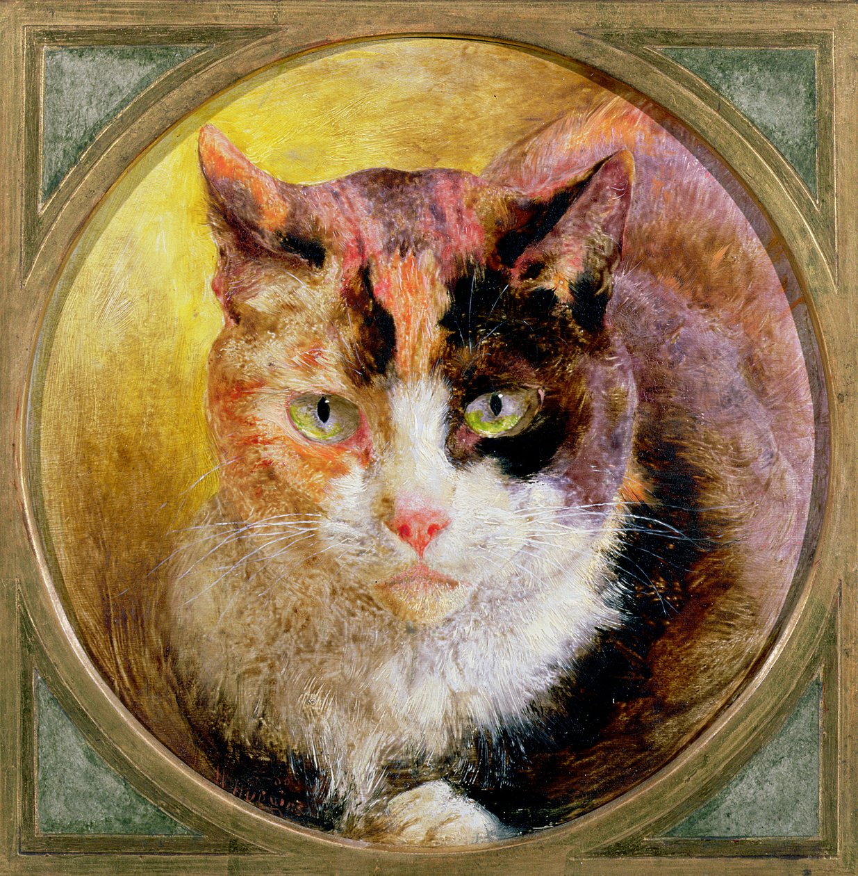 Päätutkimus kilpikonnankuorikissasta, 1866 tekijältä William Huggins
