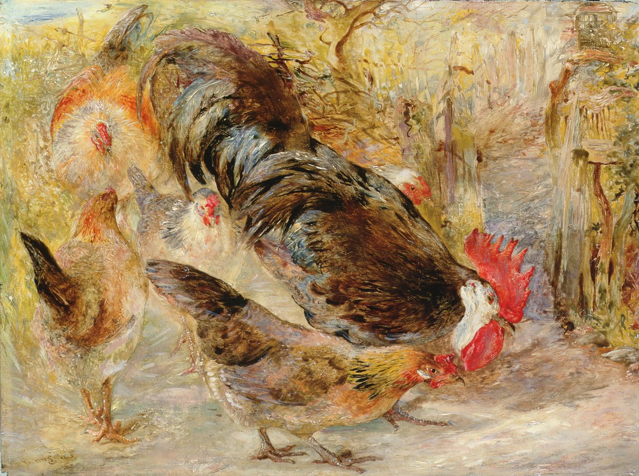 Barn Door Fowl (Rhode Island Reds), 1860 tekijältä William Huggins