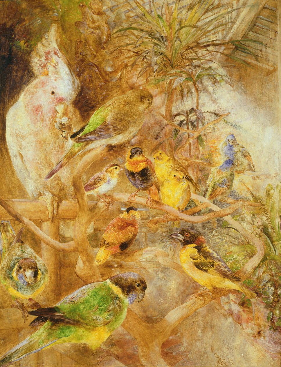Lintulintu, 1871 tekijältä William Huggins