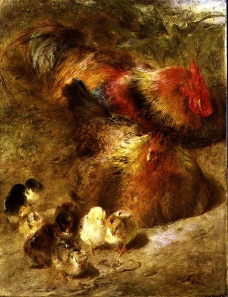 Matojen ruokavalio tekijältä William Huggins