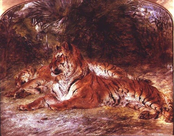 Tiikerit (öljy laudalle) tekijältä William Huggins