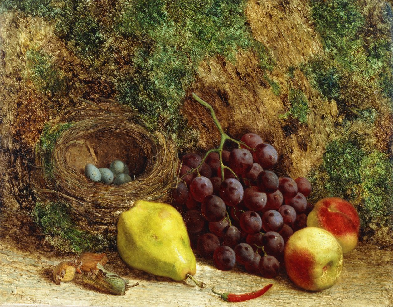 Rypäleet, päärynä, persikat ja linnunpesä sammaleen luona, 1864 tekijältä William Hughes