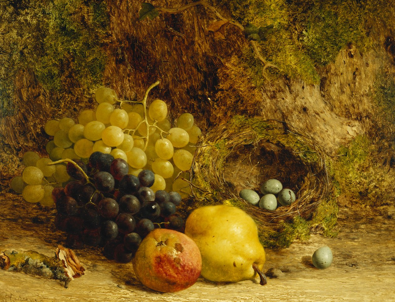 Rypäleet, omena, päärynä ja linnunpesä sammaleella, 1865 tekijältä William Hughes