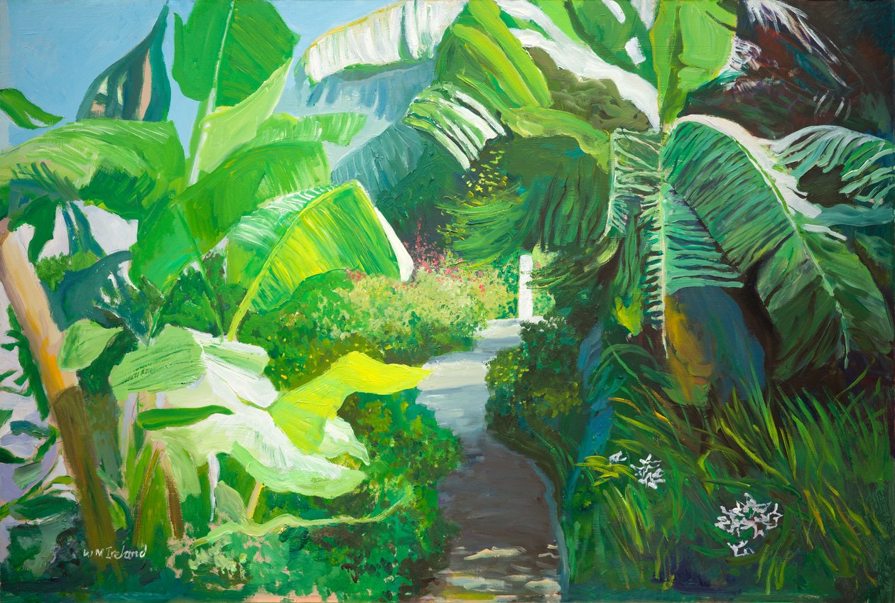 Morne Rouge, Grenada (öljy aluksella) tekijältä William Ireland