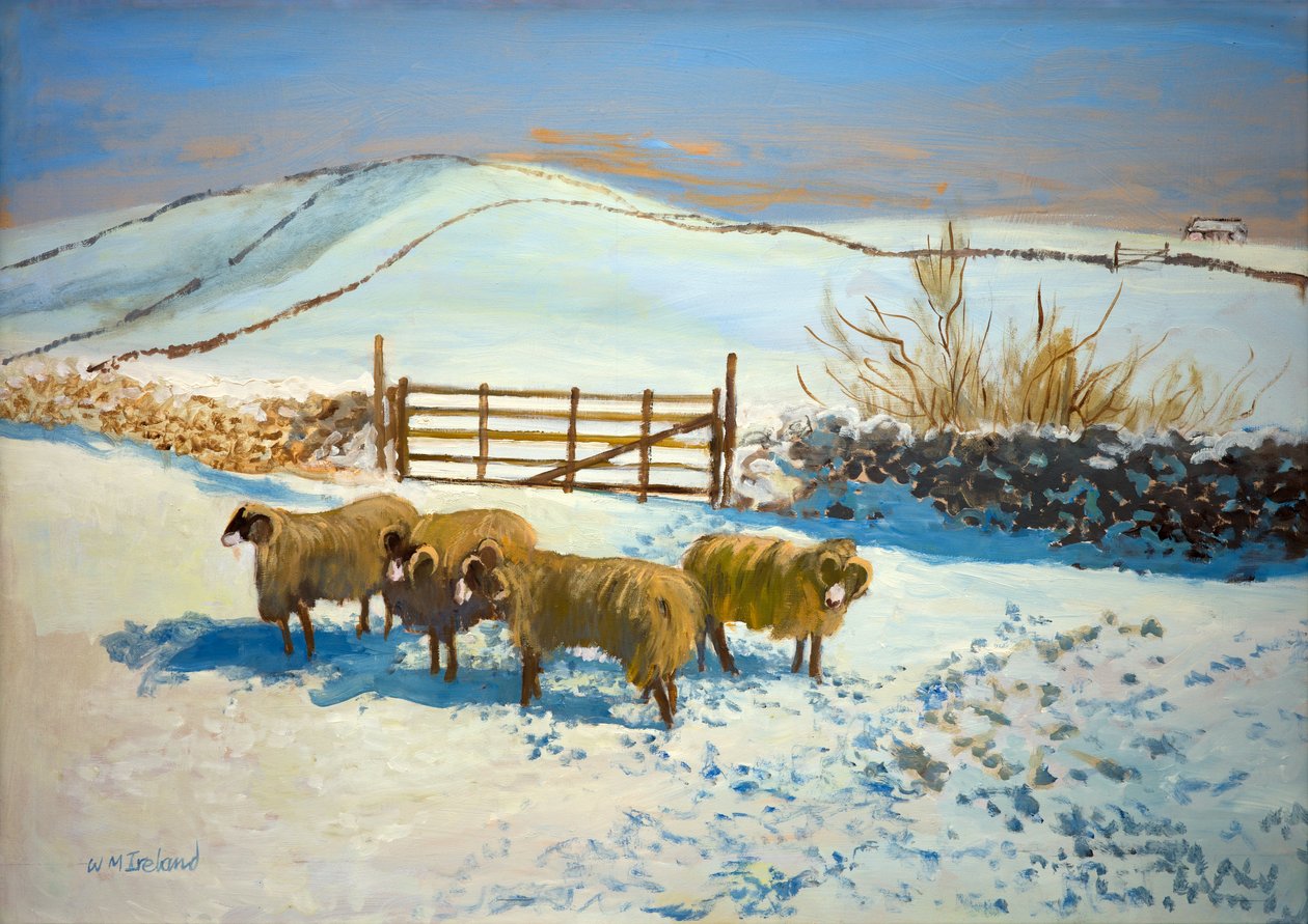 Lunta Yorkshire Dalesissa (öljyä aluksella) tekijältä William Ireland