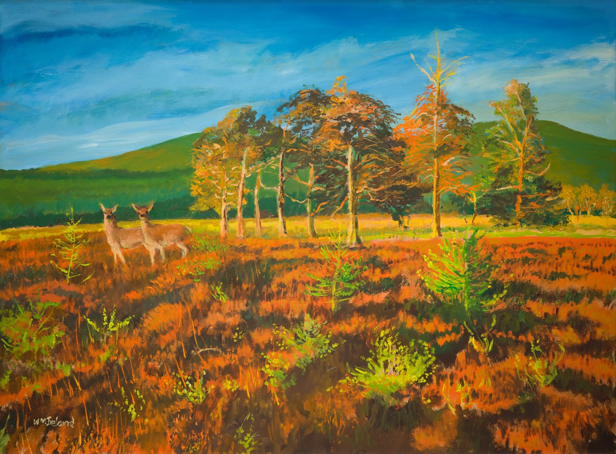 ei. Aviemore, Skotlanti (öljy aluksella) tekijältä William Ireland