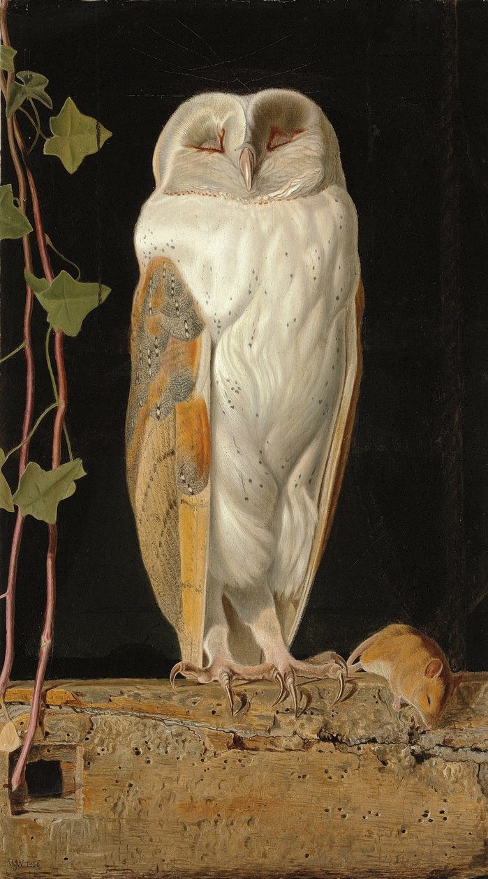 Valkoinen pöllö: "Yksin ja lämmitellen viittä järkeään, valkoinen pöllö istuu kellotapulissa", 1856 tekijältä William J. Webbe