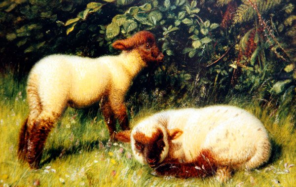 Lammas, n. 1860 (öljy aluksella) tekijältä William J. Webbe or Webb
